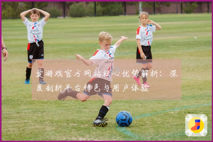 爱游戏官方网站核心优势解析：深度剖析平台特色与用户体验