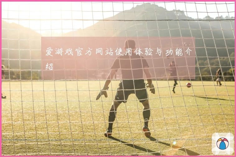 爱游戏官方网站使用体验与功能介绍